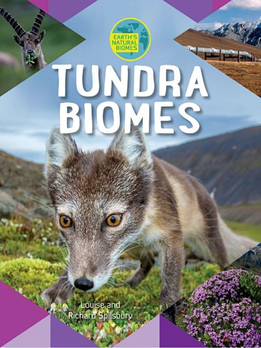 Title details for Tundra Biomes by Louise Spilsbury - Available